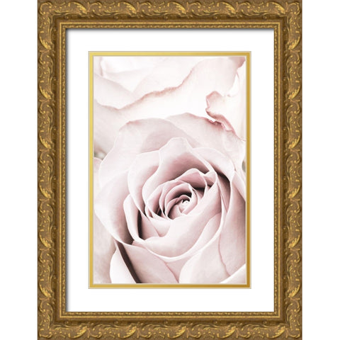 Pink Rose No 05 Gold Ornate Wood Framed Art Print with Double Matting by 1x Studio III