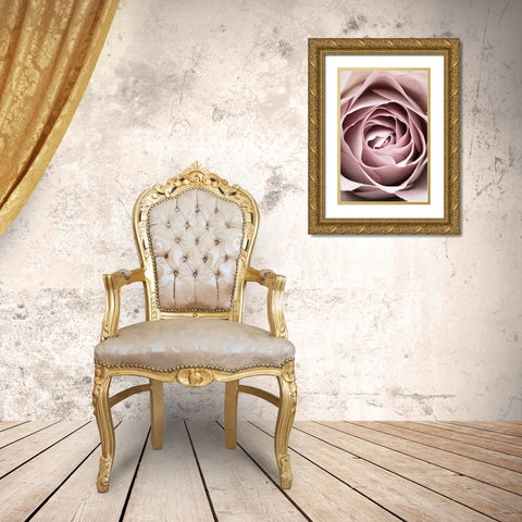 Pink Rose No 04 Gold Ornate Wood Framed Art Print with Double Matting by 1x Studio III