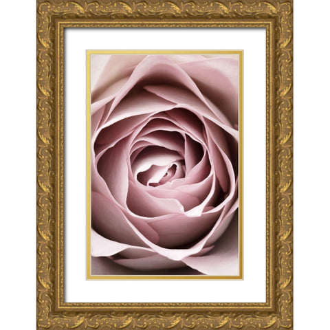 Pink Rose No 04 Gold Ornate Wood Framed Art Print with Double Matting by 1x Studio III
