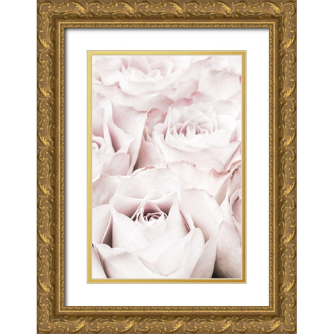 Pink Roses No 04 Gold Ornate Wood Framed Art Print with Double Matting by 1x Studio III