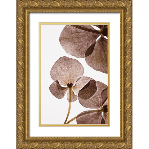 Botanical 5 Gold Ornate Wood Framed Art Print with Double Matting by Lenka