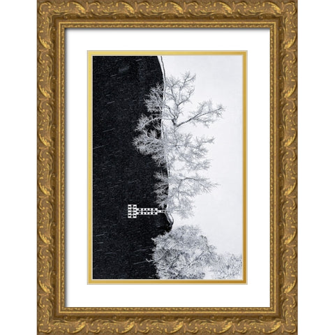 Lake Shore Under Snow Storm Gold Ornate Wood Framed Art Print with Double Matting by Xu, Mei