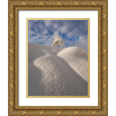 Curves Of A Winter Landscape Gold Ornate Wood Framed Art Print with Double Matting by Krivec, Ales