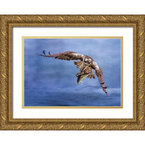 Osprey Gold Ornate Wood Framed Art Print with Double Matting by Huang, Tao