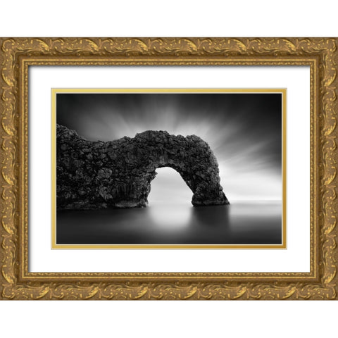 Dinosaur On The Beach Ii Gold Ornate Wood Framed Art Print with Double Matting by Digalakis, George