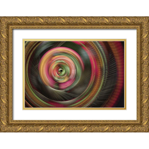 The Eye Gold Ornate Wood Framed Art Print with Double Matting by Westum, Heidi