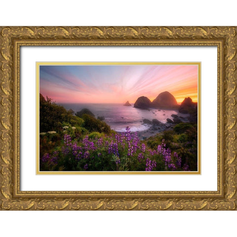 Sister Rocks With Lupin Blooms Gold Ornate Wood Framed Art Print with Double Matting by Q. Wu, Chong
