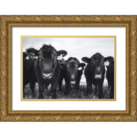 Cows Gold Ornate Wood Framed Art Print with Double Matting by Tumminello, Wendy
