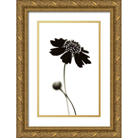 Once I Was A Black. Gold Ornate Wood Framed Art Print with Double Matting by Salem, Saad