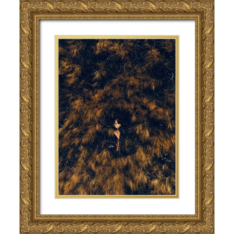 Supernova Gold Ornate Wood Framed Art Print with Double Matting by Bolgov (Axe), Ruslan