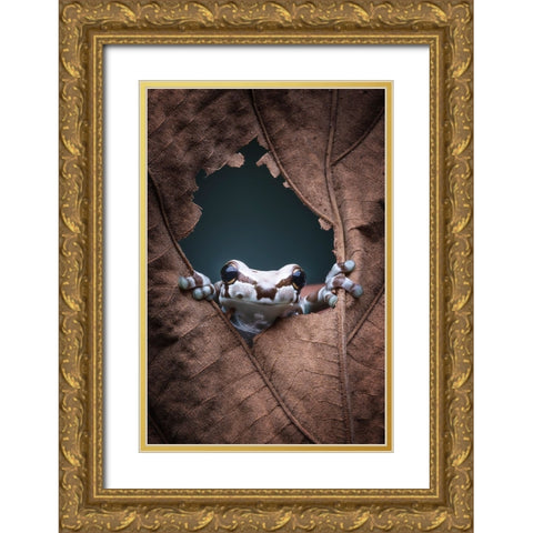 hello... Gold Ornate Wood Framed Art Print with Double Matting by Widyantini, Rini