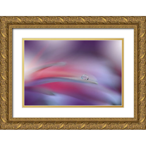 The Essence Of Being..II Gold Ornate Wood Framed Art Print with Double Matting by Nan, Juliana