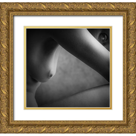 To See The Shape Gold Ornate Wood Framed Art Print with Double Matting by Stalmans, Luc