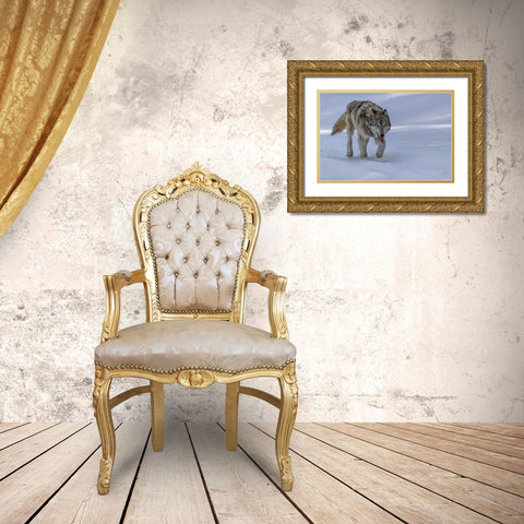 Wolf Gold Ornate Wood Framed Art Print with Double Matting by Zuo, Jun