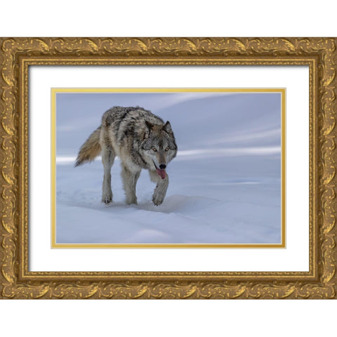 Wolf Gold Ornate Wood Framed Art Print with Double Matting by Zuo, Jun