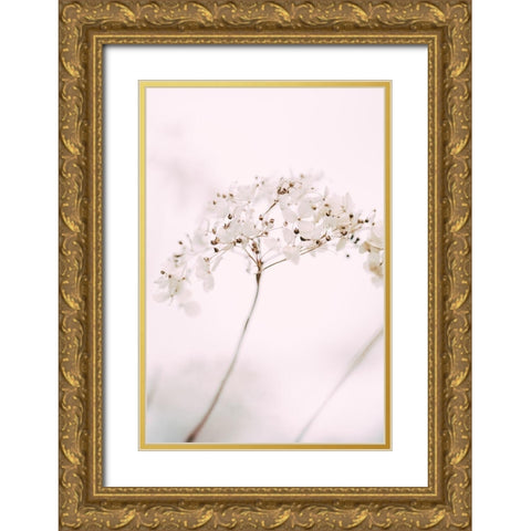 Soft dried flower_pink Gold Ornate Wood Framed Art Print with Double Matting by 1x Studio III