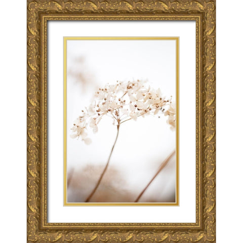 Soft Dried Flower_Brown Gold Ornate Wood Framed Art Print with Double Matting by 1x Studio III