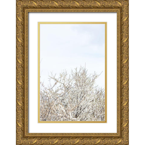 Cherry tree_1 Gold Ornate Wood Framed Art Print with Double Matting by 1x Studio III