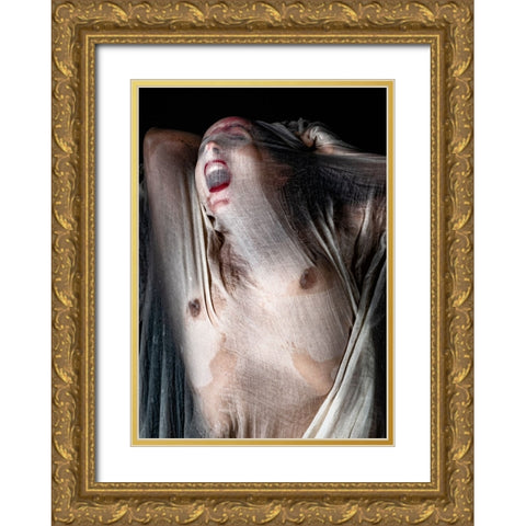 Screamer Gold Ornate Wood Framed Art Print with Double Matting by Dixon, Colin