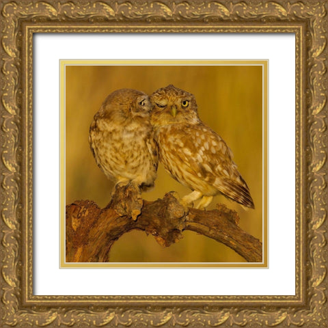 Sweet Couple Gold Ornate Wood Framed Art Print with Double Matting by Manusevich, David