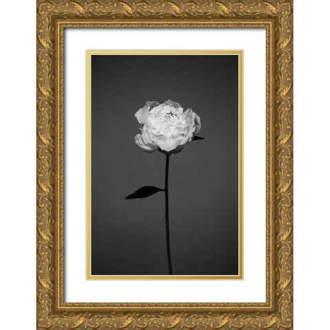 Peony Gold Ornate Wood Framed Art Print with Double Matting by Frolova, Antonida