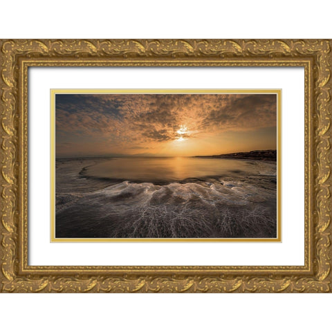 Structure Of Salt Gold Ornate Wood Framed Art Print with Double Matting by Telhami, Isam