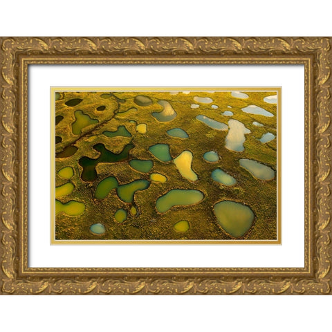 Aerial Abstract Of Small Lakes Gold Ornate Wood Framed Art Print with Double Matting by Bian, James