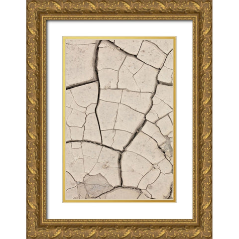 Clay wall_beige Gold Ornate Wood Framed Art Print with Double Matting by 1x Studio III