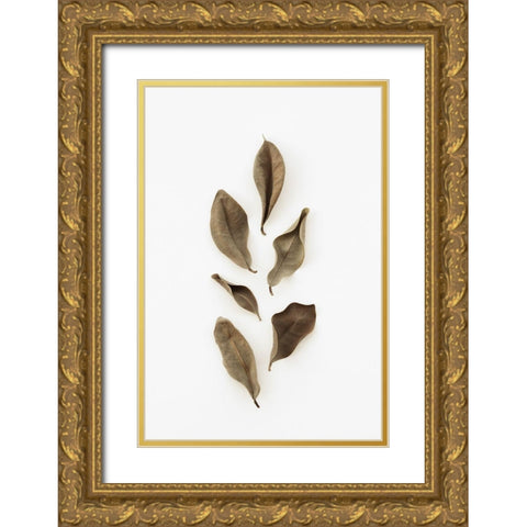 Dried Leaves_2 Gold Ornate Wood Framed Art Print with Double Matting by 1x Studio III