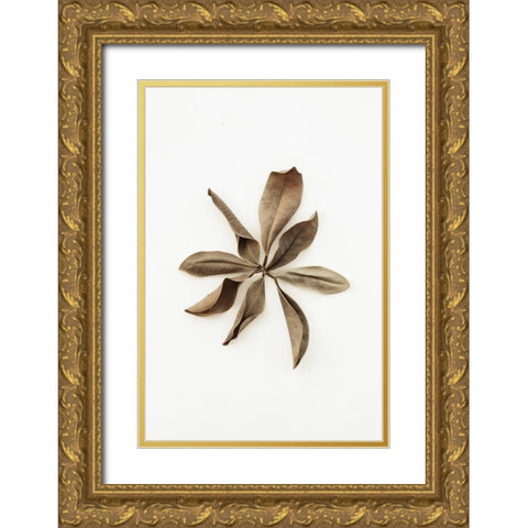 Dried Leaves_3 Gold Ornate Wood Framed Art Print with Double Matting by 1x Studio III