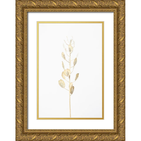 Solitary dried plant_light grey Gold Ornate Wood Framed Art Print with Double Matting by 1x Studio III