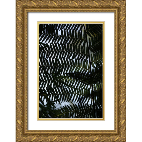 Fern Leaves_1 Gold Ornate Wood Framed Art Print with Double Matting by 1x Studio III