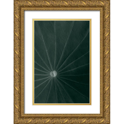 Dark green leaf Gold Ornate Wood Framed Art Print with Double Matting by 1x Studio III