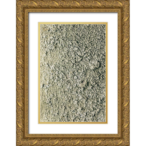 Moss Gold Ornate Wood Framed Art Print with Double Matting by 1x Studio III