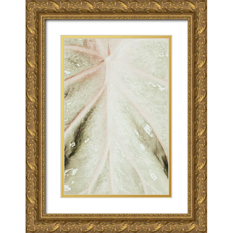 Light green leaf Gold Ornate Wood Framed Art Print with Double Matting by 1x Studio III