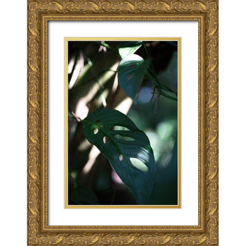 Monstrea Leaves Nature_2 Gold Ornate Wood Framed Art Print with Double Matting by 1x Studio III