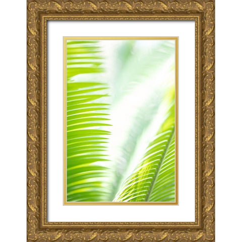 Light Palm tree leaves_1 Gold Ornate Wood Framed Art Print with Double Matting by 1x Studio III