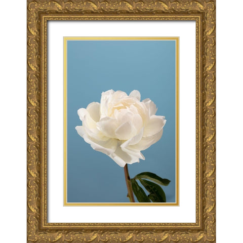 Peony_2 Gold Ornate Wood Framed Art Print with Double Matting by 1x Studio III