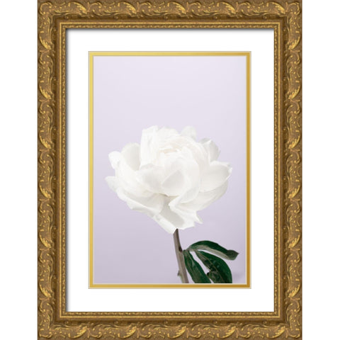 Peony_3 Gold Ornate Wood Framed Art Print with Double Matting by 1x Studio III