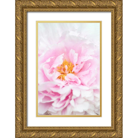 Peony_6 Gold Ornate Wood Framed Art Print with Double Matting by 1x Studio III