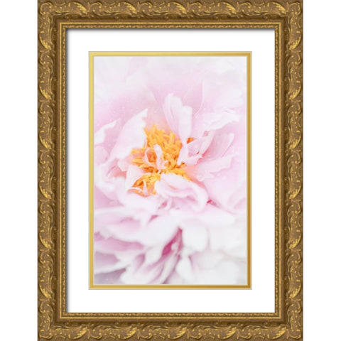 Peony_7 Gold Ornate Wood Framed Art Print with Double Matting by 1x Studio III