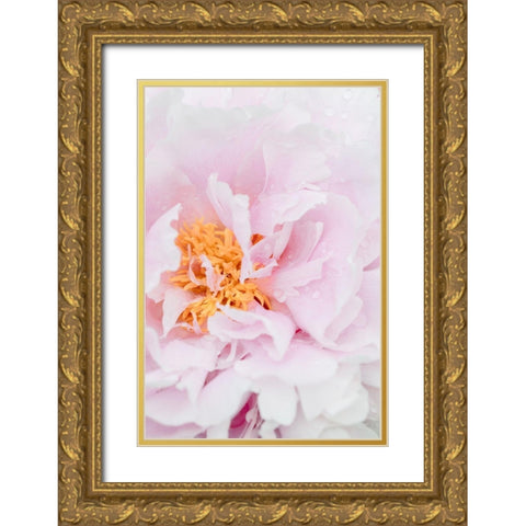 Peony_8 Gold Ornate Wood Framed Art Print with Double Matting by 1x Studio III