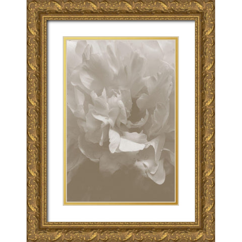 Peony_9 Gold Ornate Wood Framed Art Print with Double Matting by 1x Studio III
