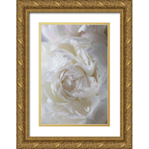 Peony_14 Gold Ornate Wood Framed Art Print with Double Matting by 1x Studio III