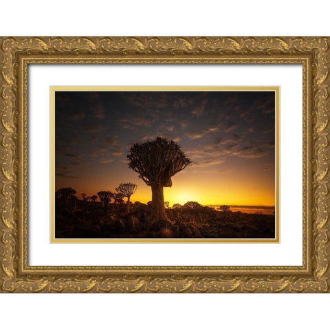 At Sunrise 7R45806 Gold Ornate Wood Framed Art Print with Double Matting by Joanaduenas