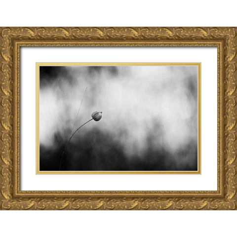 Flax After Flowering Gold Ornate Wood Framed Art Print with Double Matting by Gronkjar, Lotte