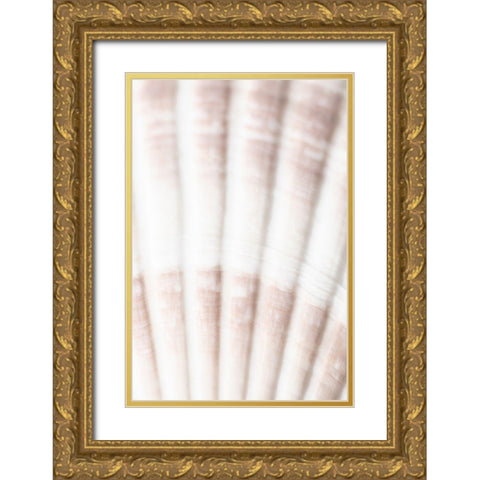 Shell_2 Gold Ornate Wood Framed Art Print with Double Matting by 1x Studio III