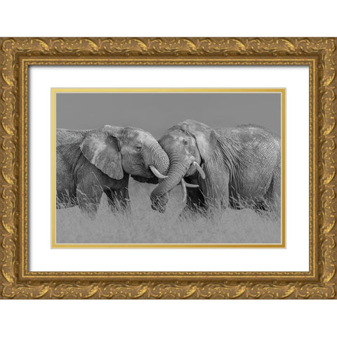 Elephant Flight Gold Ornate Wood Framed Art Print with Double Matting by Zuo, Jun