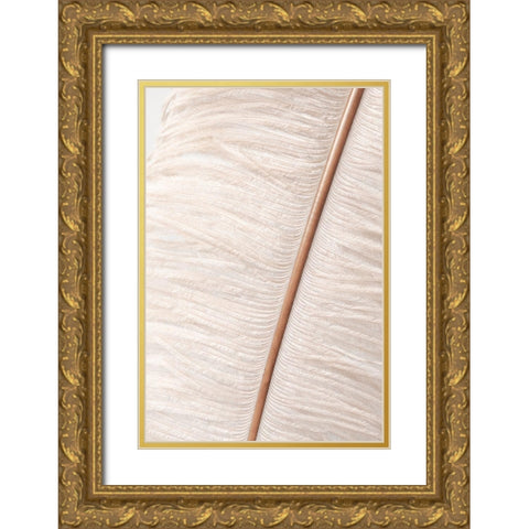 Feather_2 Gold Ornate Wood Framed Art Print with Double Matting by 1x Studio III