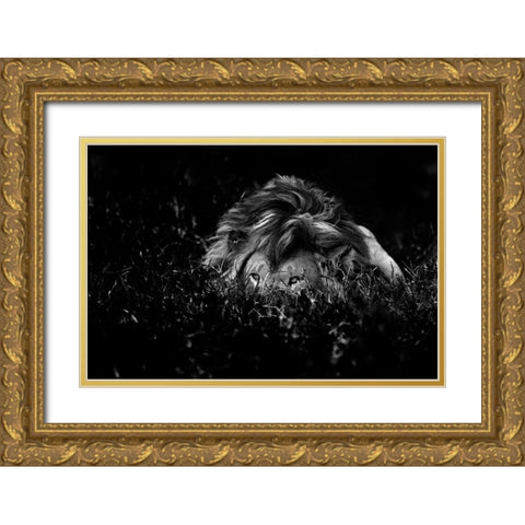 The Lion Gold Ornate Wood Framed Art Print with Double Matting by Damico, Giuseppe